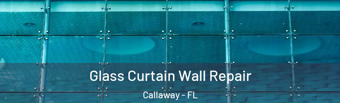  Glass Curtain Wall Repair Callaway - FL