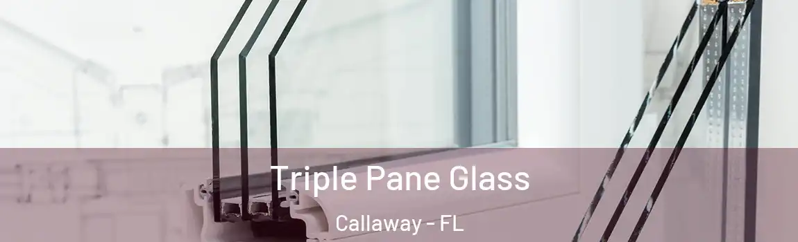 Triple Pane Glass Callaway - FL