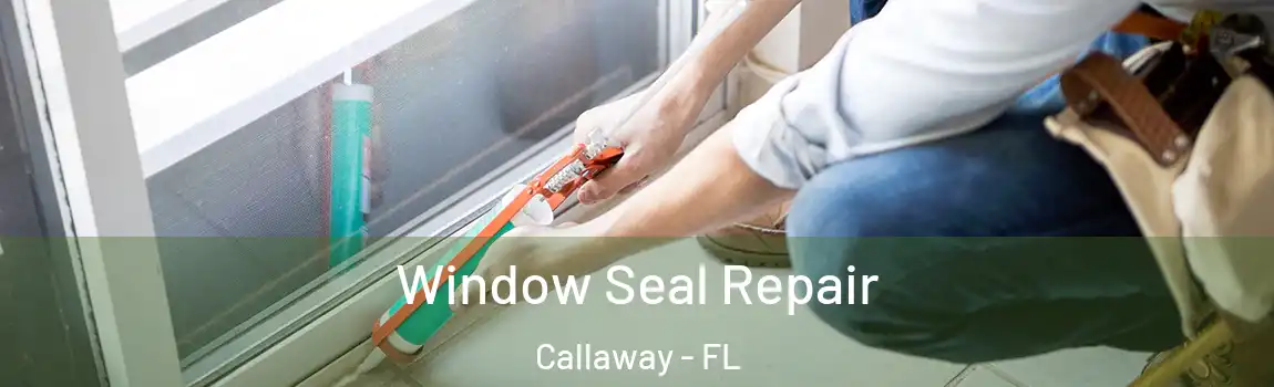 Window Seal Repair Callaway - FL